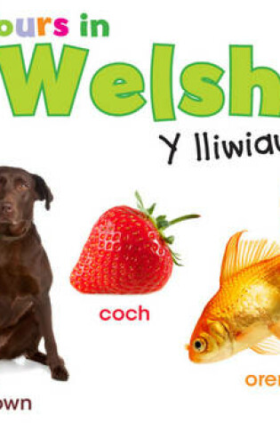 Cover of Colours in Welsh