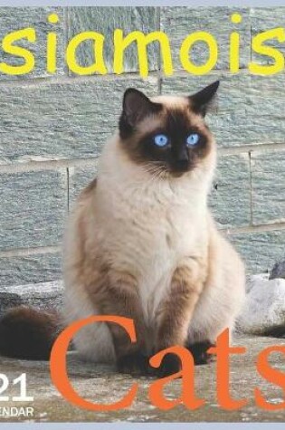 Cover of siamois Cats