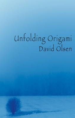 Book cover for Unfolding Origami