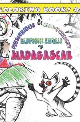 Cover of Mysterious & Magnificent Rainforest Animals of Madagascar