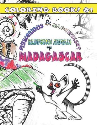 Book cover for Mysterious & Magnificent Rainforest Animals of Madagascar