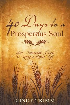 Book cover for 40 Days to a Prosperous Soul