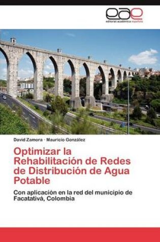 Cover of Optimizar La Rehabilitacion de Redes de Distribucion de Agua Potable