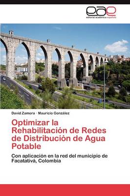 Book cover for Optimizar La Rehabilitacion de Redes de Distribucion de Agua Potable