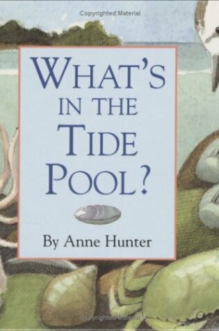 Cover of What's in the Tide Pool?