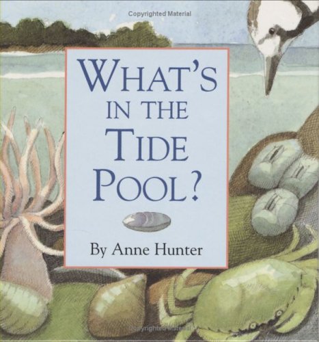 Book cover for What's in the Tide Pool?