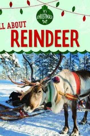 Cover of All about Reindeer