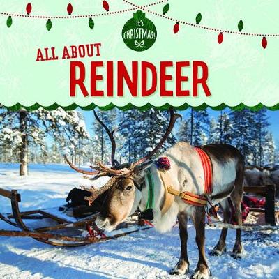 Book cover for All about Reindeer