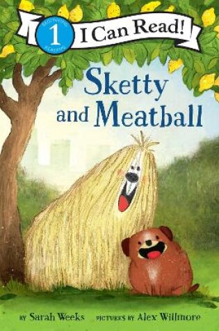 Cover of Sketty and Meatball