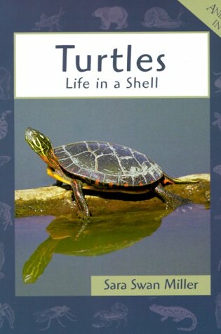 Cover of Turtles