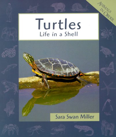 Cover of Turtles