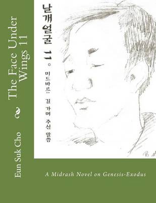 Book cover for The Face Under Wings 11: A Midrash Novel on Genesis-Exodus