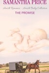 Book cover for The Promise