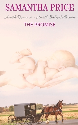 Book cover for The Promise