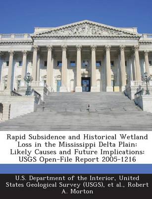 Book cover for Rapid Subsidence and Historical Wetland Loss in the Mississippi Delta Plain
