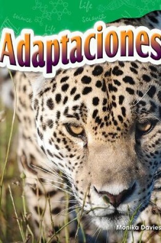 Cover of Adaptaciones (Adaptations)