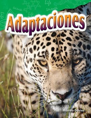 Book cover for Adaptaciones (Adaptations)