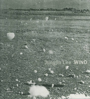 Book cover for Wind