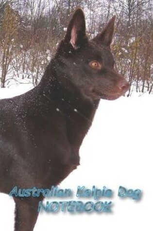 Cover of Australian Kelpie Dog NOTEBOOK