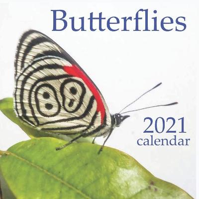 Book cover for Butterflies