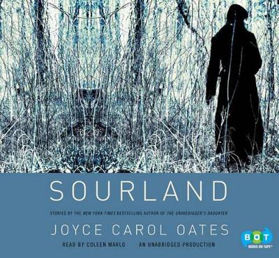 Book cover for Sourland