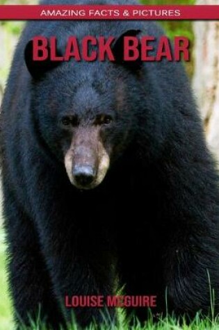 Cover of Black Bear