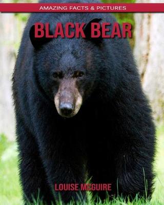 Book cover for Black Bear