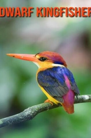 Cover of Dwarf Kingfisher