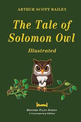 Book cover for The Tale of Solomon Owl - Illustrated