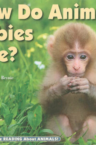 Cover of How Do Animal Babies Live?