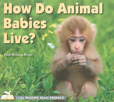Book cover for How Do Animal Babies Live?