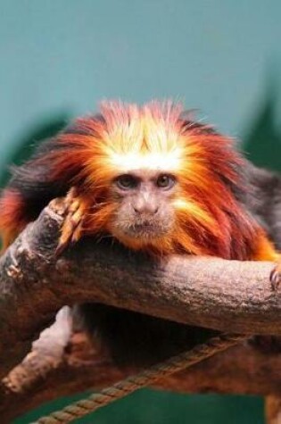 Cover of Golden Lion Tamarin Monkey Journal