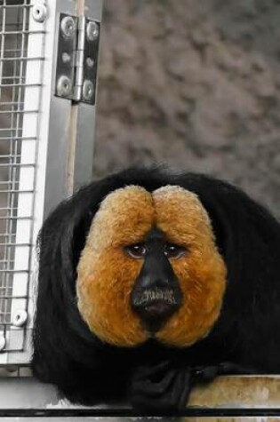 Cover of Golden-Faced Saki Monkey Journal