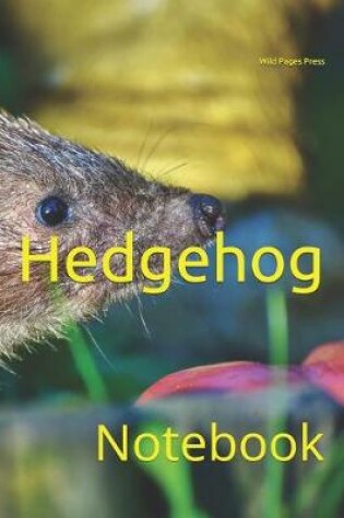 Cover of Hedgehog