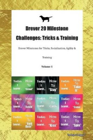 Cover of Drever 20 Milestone Challenges