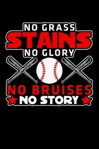 Cover of No Grass Stains No Glory No Bruises No Story
