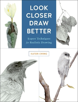 Look Closer, Draw Better by Kateri Ewing