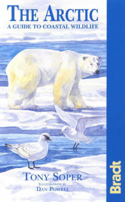 Book cover for The Arctic