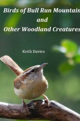 Cover of Birds of Bull Run Mountain and Other Woodland Creatures