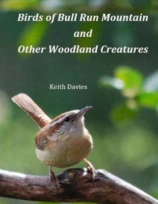 Book cover for Birds of Bull Run Mountain and Other Woodland Creatures