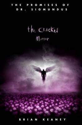 Book cover for The Cracked Mirror