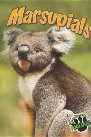 Cover of Marsupials