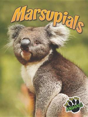 Cover of Marsupials