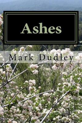 Book cover for Ashes