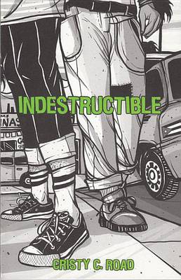 Book cover for Indestructible