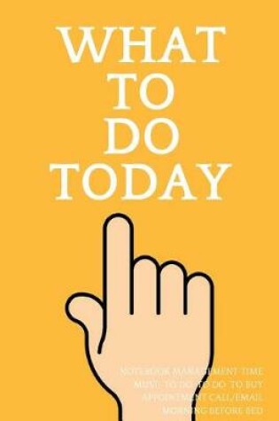 Cover of What To Do Today