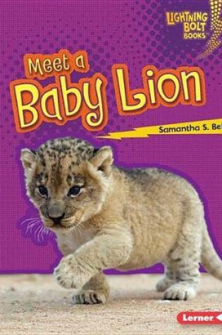 Cover of Meet a Baby Lion