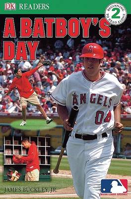 Book cover for A Bat Boy's Day