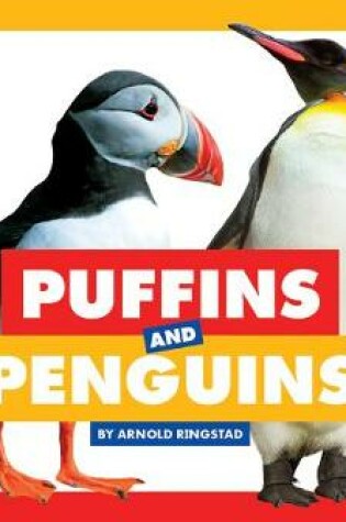 Cover of Puffins and Penguins