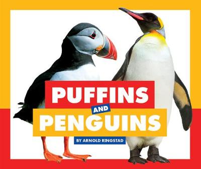 Book cover for Puffins and Penguins